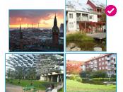 Learning from Copenhagen and Malmo