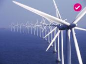 Co-operative Energy In Denmark And Sweden