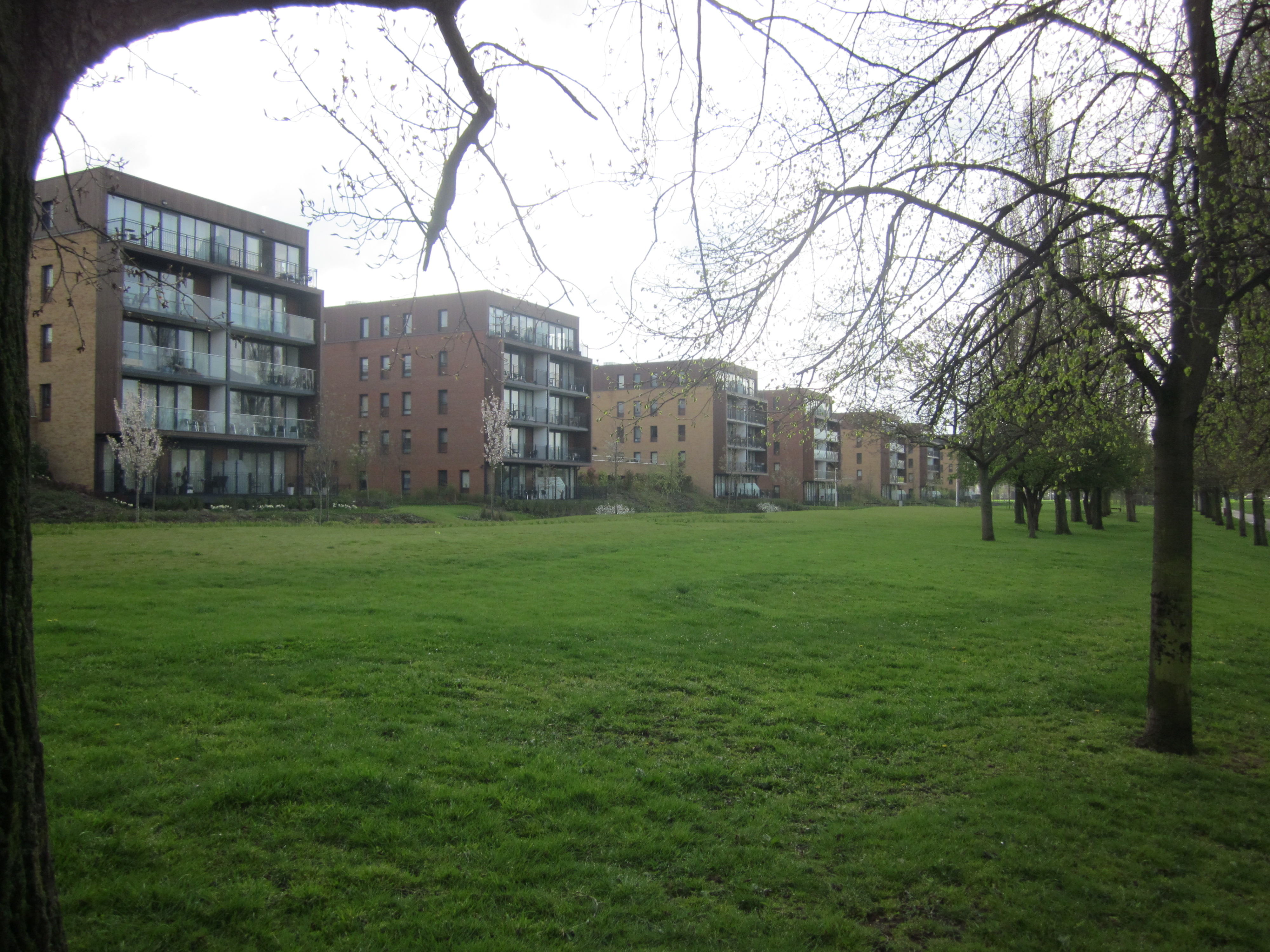 The C blocks offer a new housing model